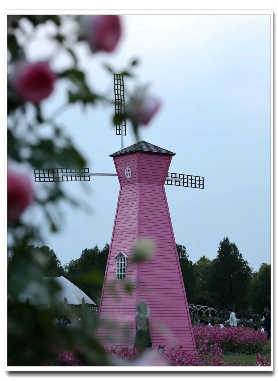 侠recrecrecrec嘉定紫藤园@阿琪rec5月2日早上7点半于青浦夏阳湖公