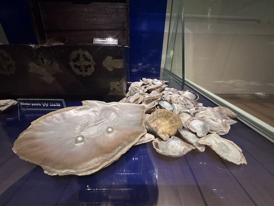 岛屿经济的见证",让巴林穆哈拉格岛的部分街区和北部水域的3个珠贝海