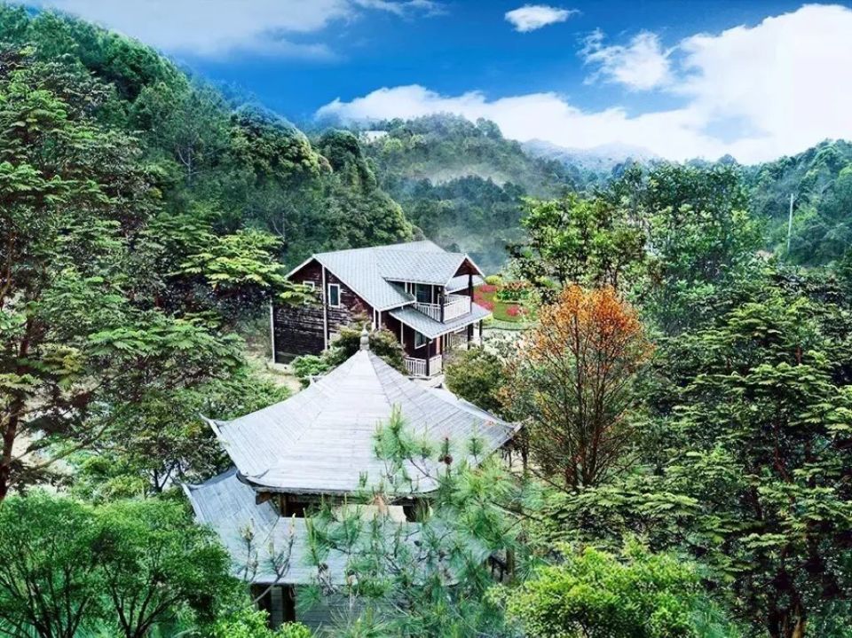 【遇见春茶】高鼎茶庄园:享受美景与香茗的双重治愈