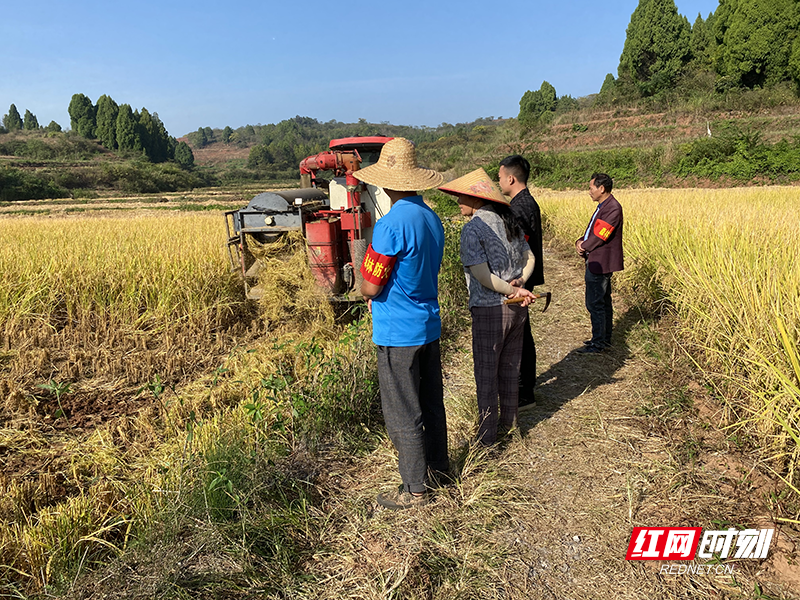 桂阳县仁义镇:建好三支队伍 抓实控茬禁烧