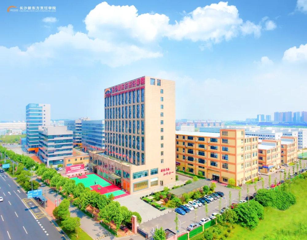 长沙新东方烹饪学院获批"湖南东方高级技工学校"_腾讯新闻