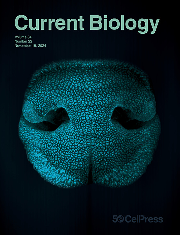 2024年11月，这些研究登上了Cell Press期刊封面！_腾讯新闻