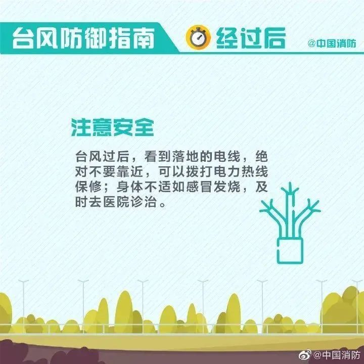 我市启动防台风一级应急响应