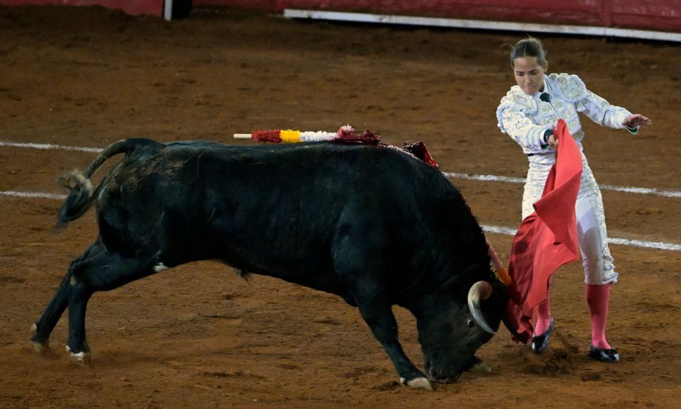 墨西哥:斗牛表演