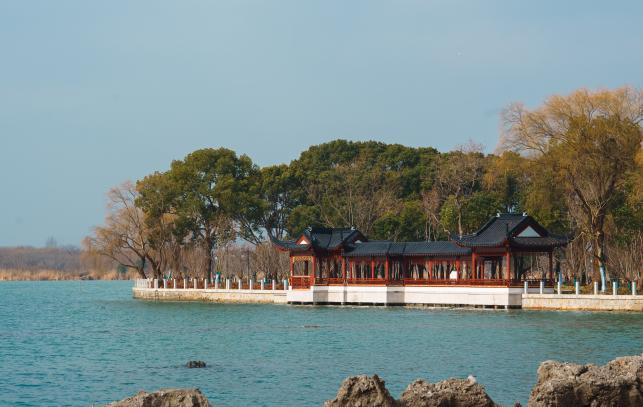 夏日"沪"水游丨青浦:元荡湖畔生活图鉴 美好生活当如是