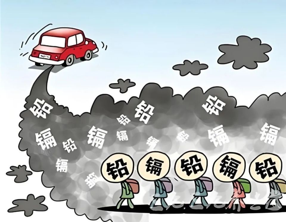 环境污染对肠道菌群和免疫系统的影响