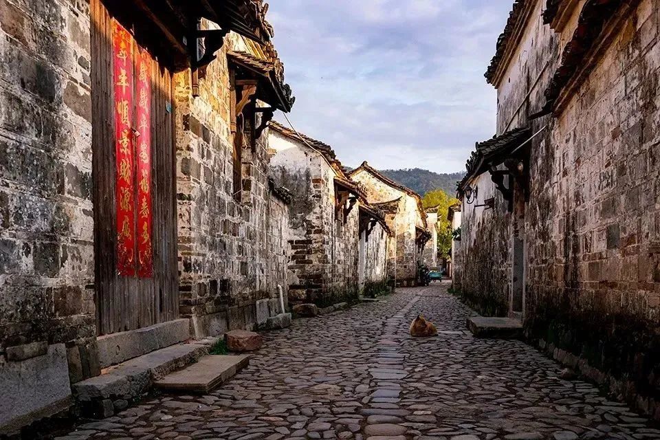 看龙舟赛,观赏民俗,还免门票!期待