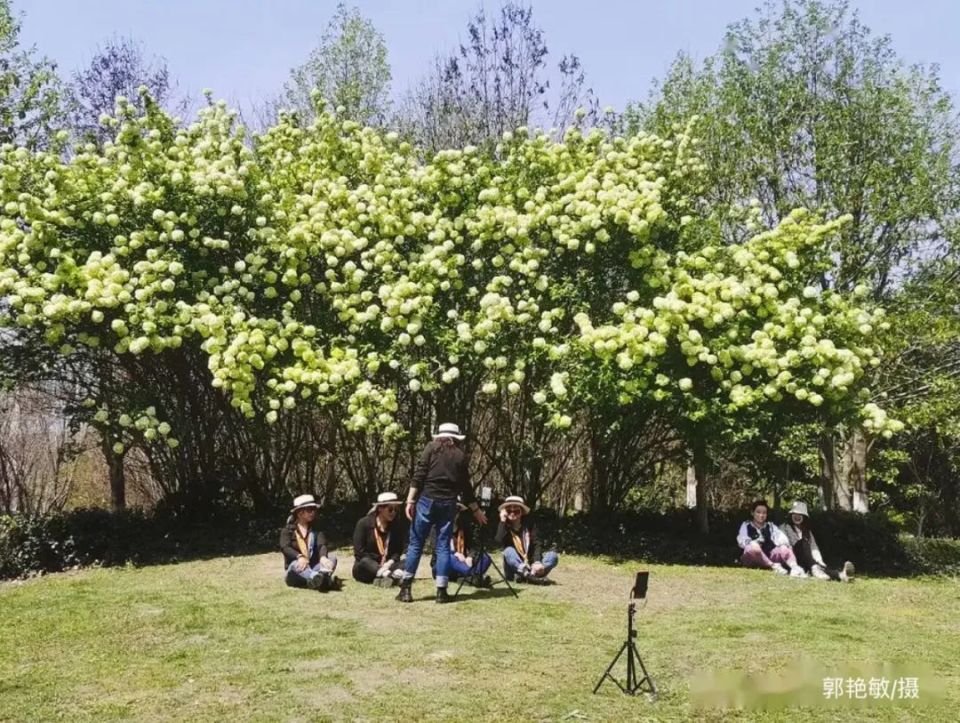 长在树上的"香草冰淇淋",你想来一口吗_腾讯新闻