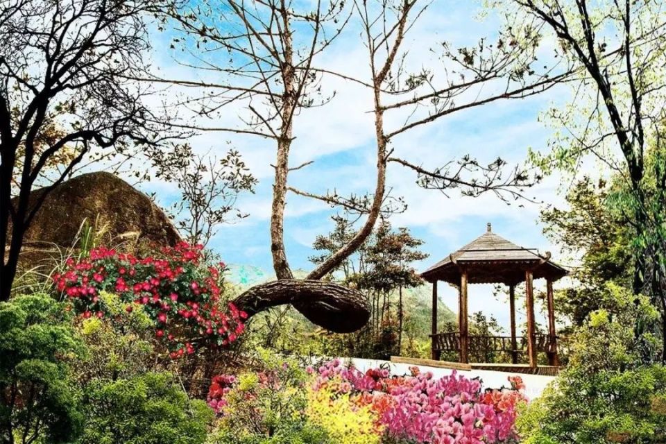 【遇见春茶】高鼎茶庄园:享受美景与香茗的双重治愈