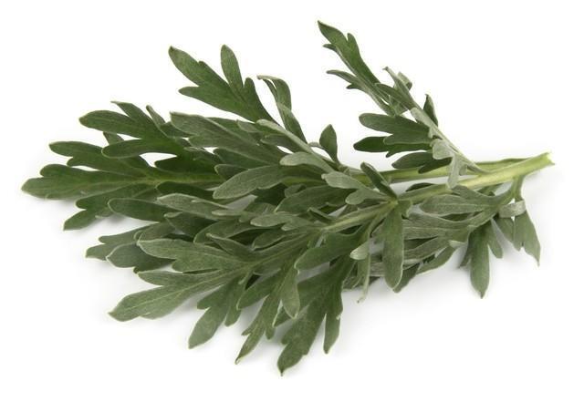 别再被骗了,艾草就3个养生作用_腾讯新闻