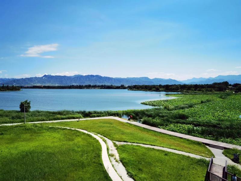 官厅湖湿地公园图片
