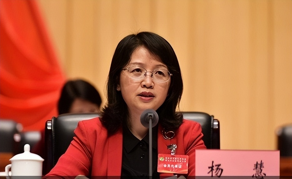 贵州省卫健委原党组书记杨慧被双开曾花4000万买别墅850万装修