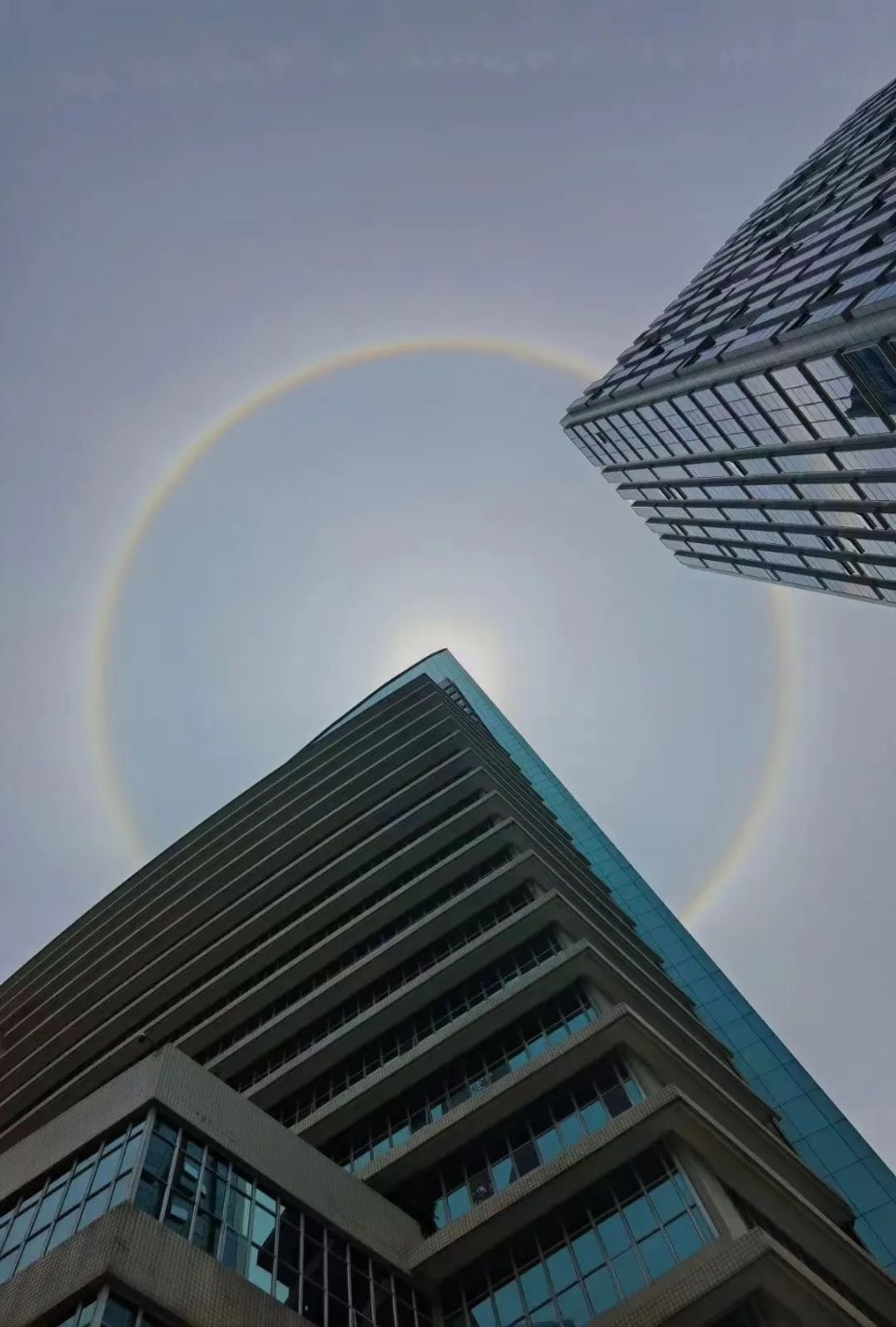 深圳惊现"日晕"!_腾讯新闻