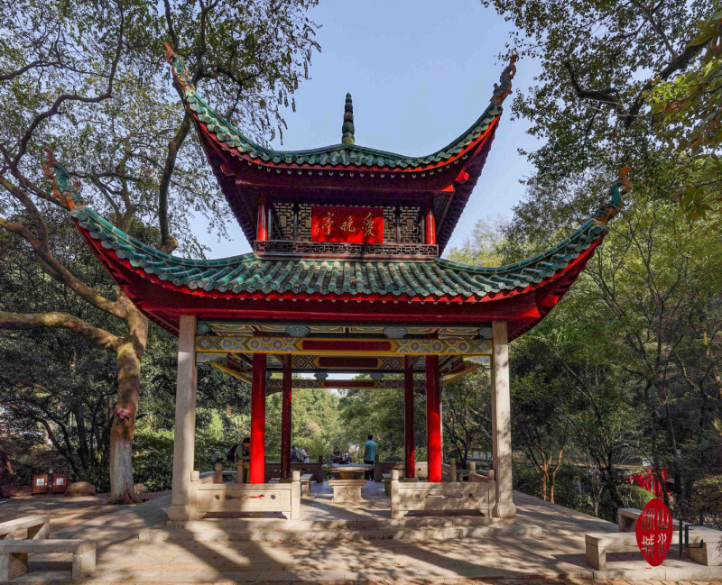 爱晚亭把"ctrl c"玩了5次 | 山水洲城记