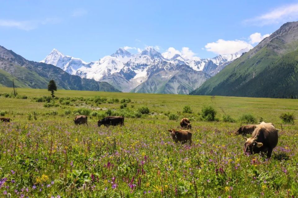 新疆与哈萨克斯坦交界有个县,曾是乌孙国故地,有着世界级的风景
