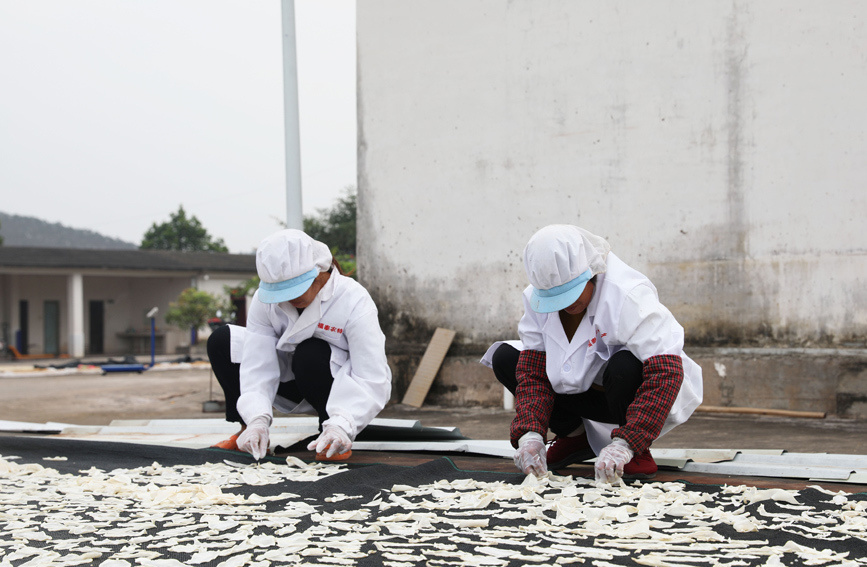 上思县融媒体中心供图新鲜萝卜经过加工烘干后成为深受市场欢迎的土