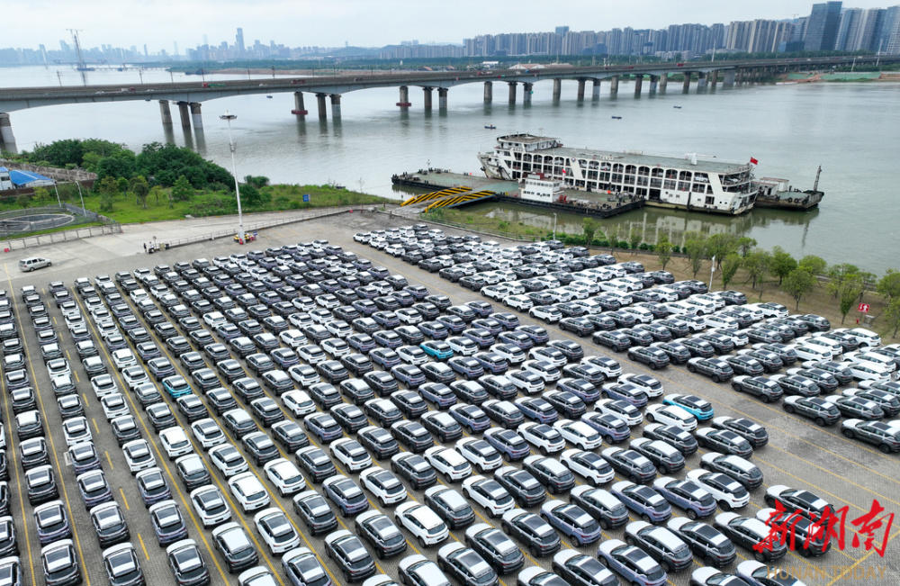 创建港以来最高纪录 长沙新港840台吉利汽车发运出口