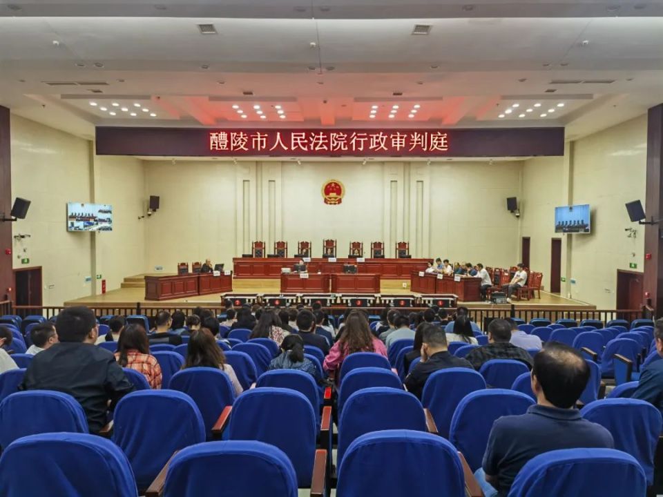 开庭!2024年中青班学员沉浸式体验"庭审"实况