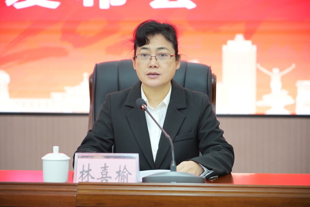 赤坎区副区长林喜榆从活动的主题,特色,内容,为即将到来的春节系列