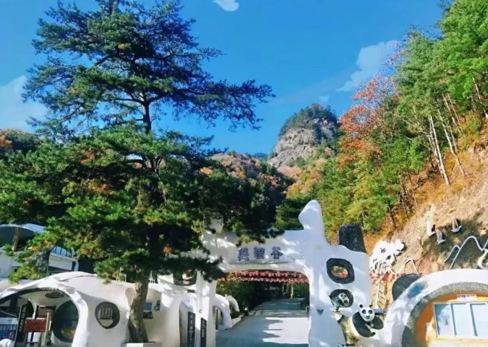 密林曲径自然风光也很绝景区内除了能近距离接触大熊猫佛坪熊猫谷位于