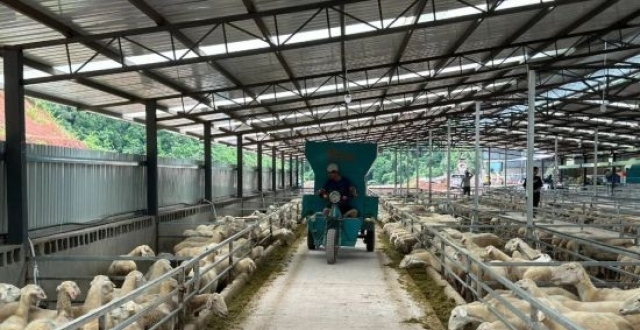 普洱江城：首个湖羊标准化生态养殖基地顺利完工_腾讯新闻