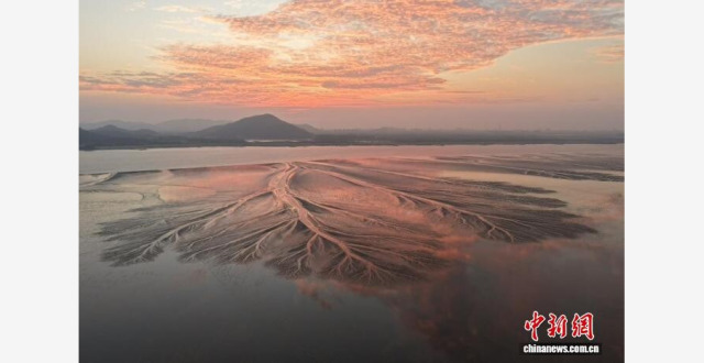 “镜观”钱塘江：“大地之树”吸引八方拍客_腾讯新闻