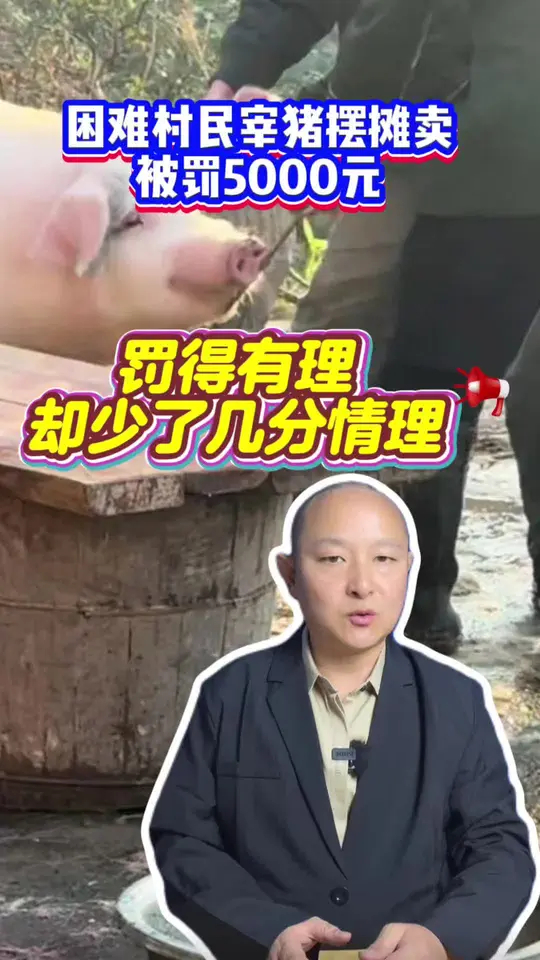 困难村民宰猪摆摊卖被罚5000元，罚得有理，却少了几分情理_腾讯新闻
