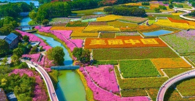 衲田花海绽放“美丽中国”_腾讯新闻