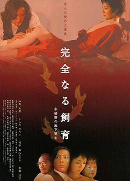 错位人生89集
