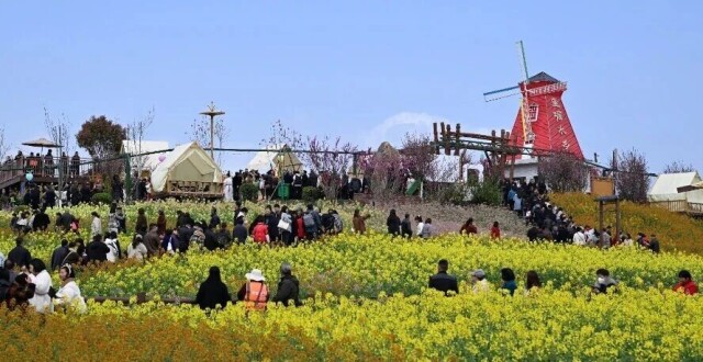 中省媒体聚焦2026最美油菜花海汉中春季文化旅游季（第2辑）_腾讯新闻