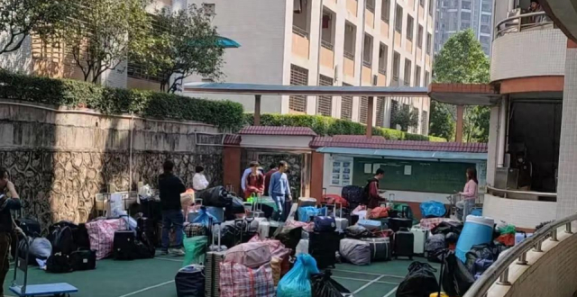 东莞学校跳蚤或源于流浪猫，虫害逐步得到控制，学生病例已下降_腾讯新闻
