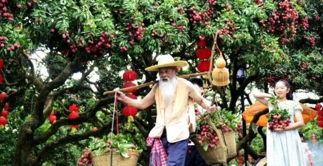 让千年荔枝“活”起来、“火”出去！增城荔枝这样“C位出道”_腾讯新闻