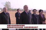 刘国中在陕西调研时强调， 加快推进农业科技创新， 大面积提高粮食单产_腾讯新闻