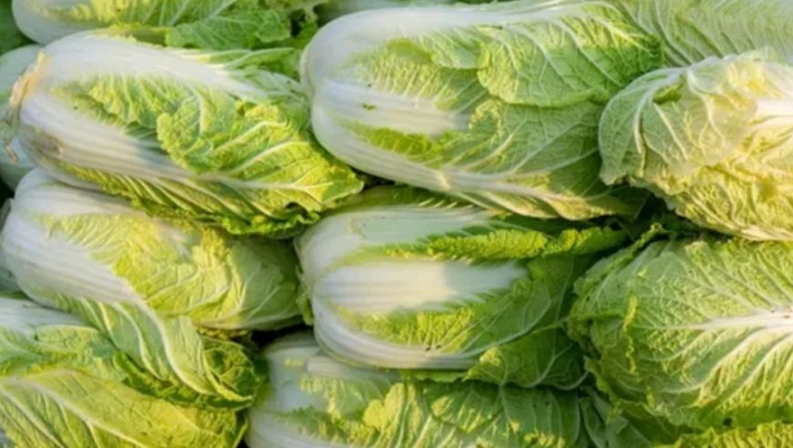 Global Impacts of US-Iran Sanctions; UK-Ukraine AI Defense Collaboration; China Food Safety Scandal