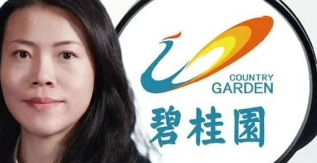 杨惠妍精简班底，万亿碧桂园闯过关？ || 深度_腾讯新闻