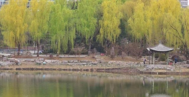 柳荫公园柳文化节开幕，东城邀请市民共建“花园城市”_腾讯新闻