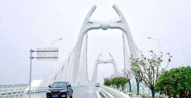 双向六车道、悬索设计，霞飞大桥正式通车_腾讯新闻