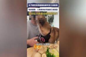 女子被流浪狗舔脚趾被判三级暴露，暴露分级的依据是什么？为何舔舐比部分咬伤还严重？