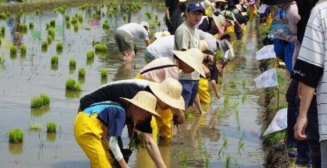 手机成了“新农具”！他们用直播链接诗意田园：太北村的“出圈”密码_腾讯新闻