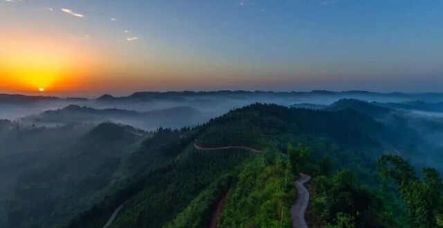 青神“竹韵华章”写入国家级“两山”典型案例_腾讯新闻