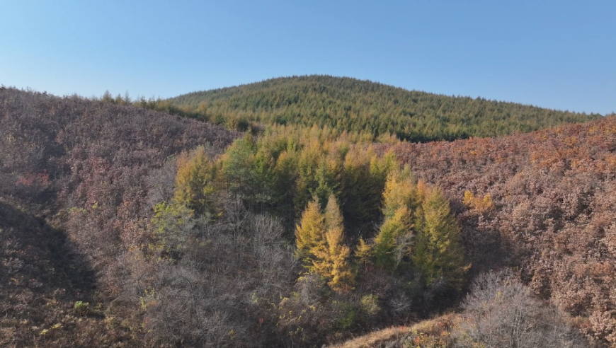 辽宁丹东凤城:被夏天暴雨伤过的三义庙村,治愈后的深秋更惊艳!