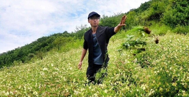 【省媒看陇西】药田葱郁管护忙_腾讯新闻