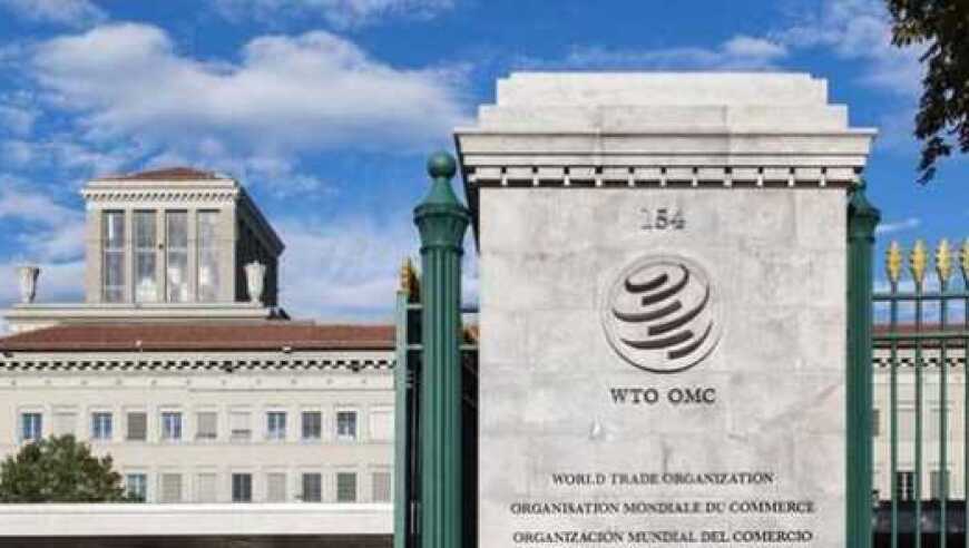 美国会退出WTO吗？WTO总干事回应：他们要派大使过来！