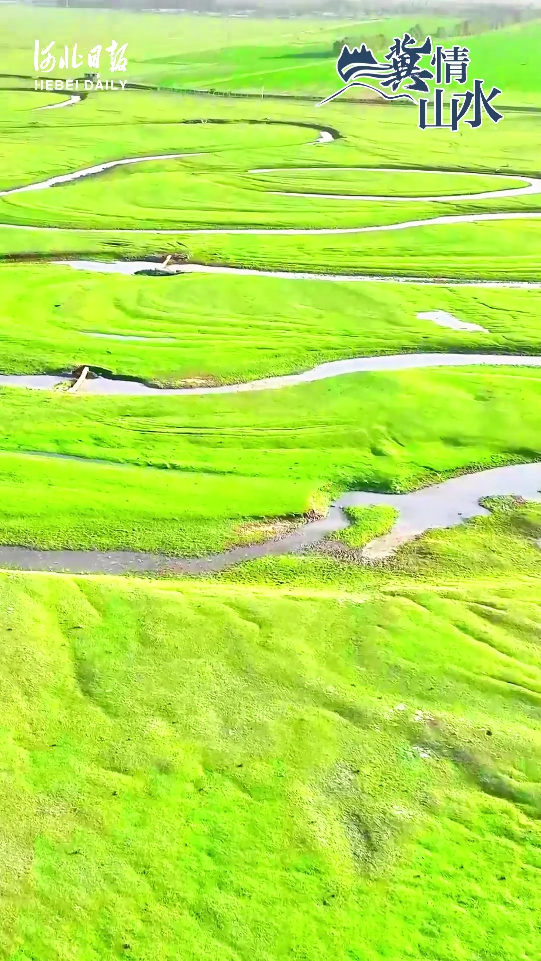 追梦坝上草原图片