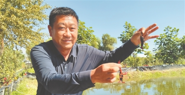 建基地 扩规模 强品牌 方正 寒地小龙虾 “扶壮”产业富农强县_腾讯新闻