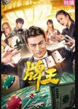 沙月芽衣