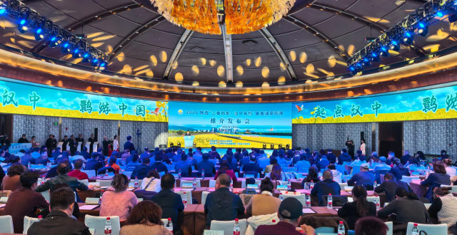 2026最美油菜花海汉中旅游文化节将于3月18日在汉台区启动_腾讯新闻