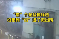 “借”个花盆种绿植，没想到“借”进了派出所_腾讯新闻