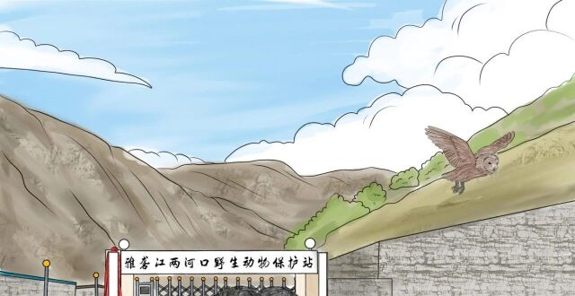 雅砻江畔的生态灵境：山河共生，万物栖居_腾讯新闻
