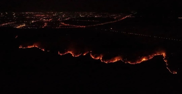 安徽合肥一男子祭祀引起山火，过火有林地167.1亩，获刑一年四个月缩略图
